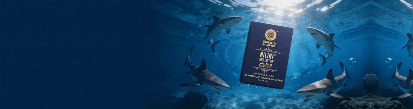 Why Shark Trusted Us?
