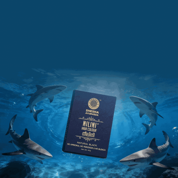 Why Shark Trusted Us?