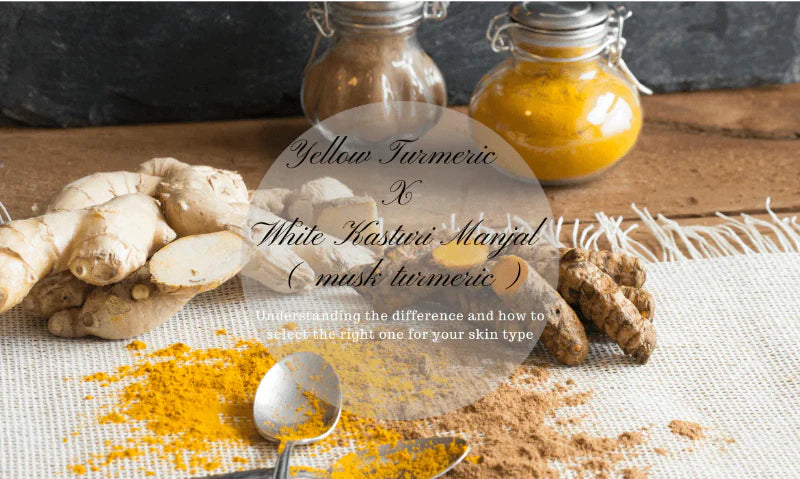 Yellow Manjal vs White Kasturi Manjal  - Difference between the two